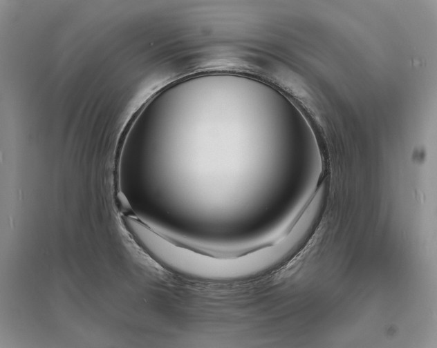 X0000094081330200711091206