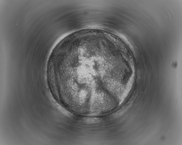 X0000094081331200711091206