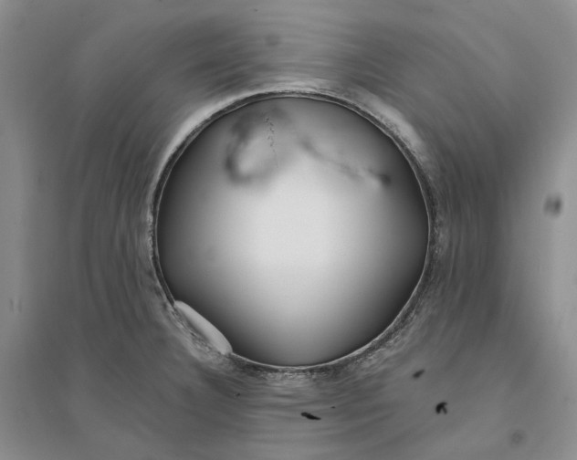 X0000094081332200711091206