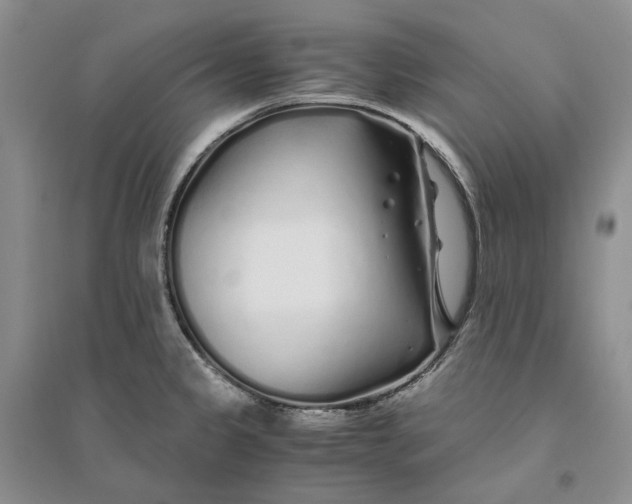 X0000094081333200711091206