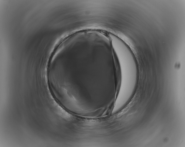 X0000094081334200711091206