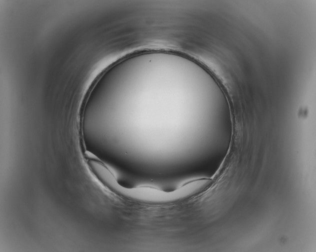 X0000094081335200711091206