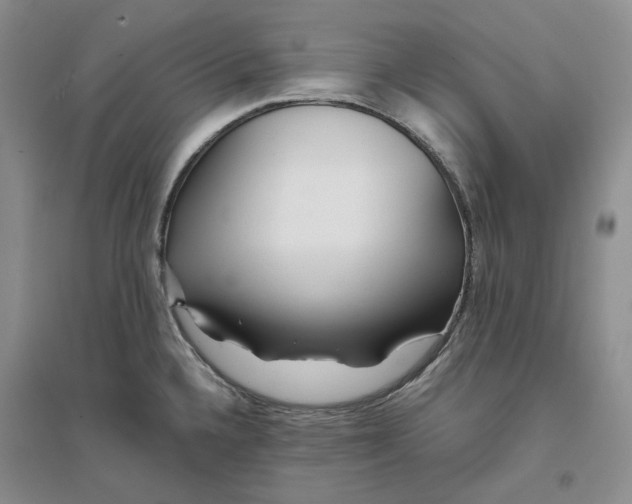 X0000094081336200711091206