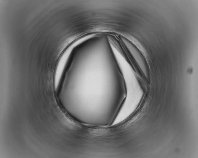 X0000094081337200711091206