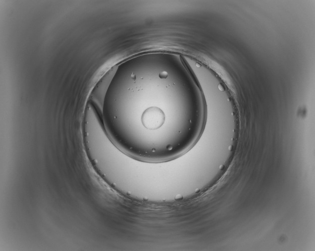 X0000094081338200711091206