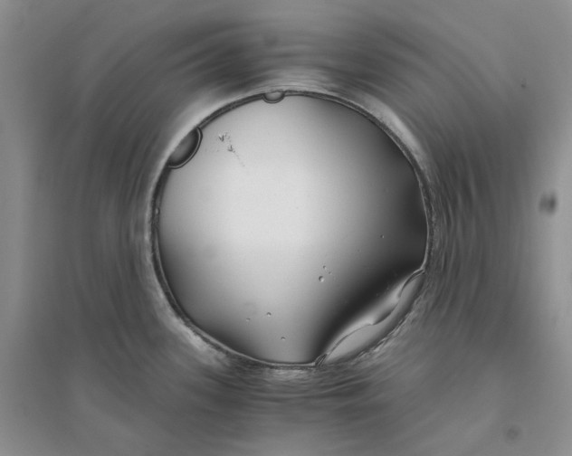 X0000094081339200711091206