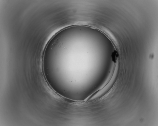 X0000094081340200711091206