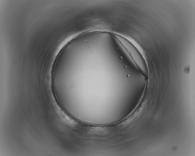 X0000094081341200711091206