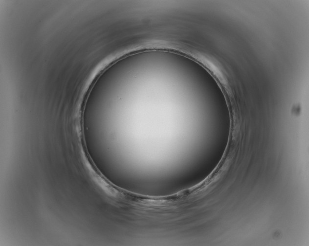 X0000094081342200711091206