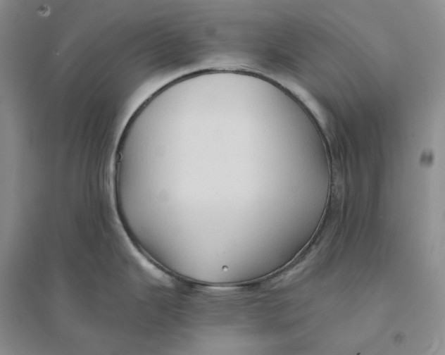 X0000094081343200711091206