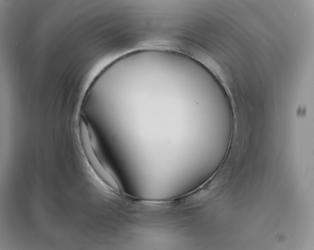 X0000094081344200711091206