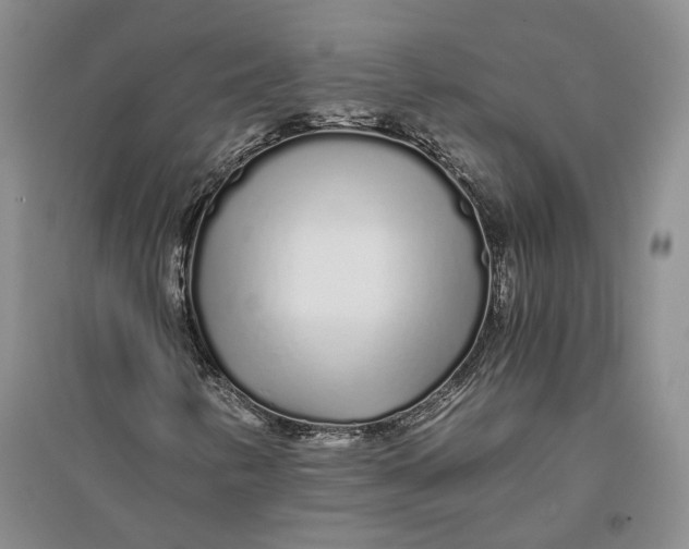 X0000094081346200711091206