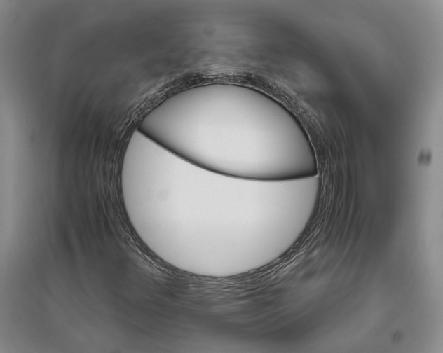 X0000094081348200711091205