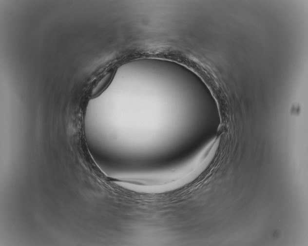 X0000094081349200711091205