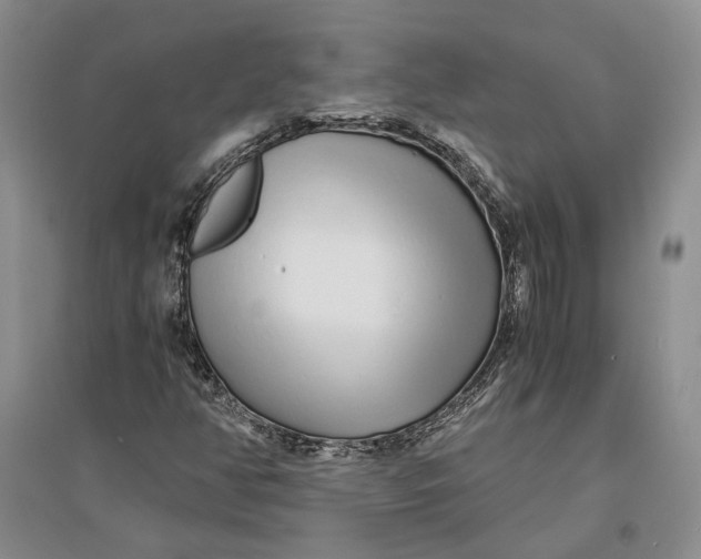 X0000094081350200711091205