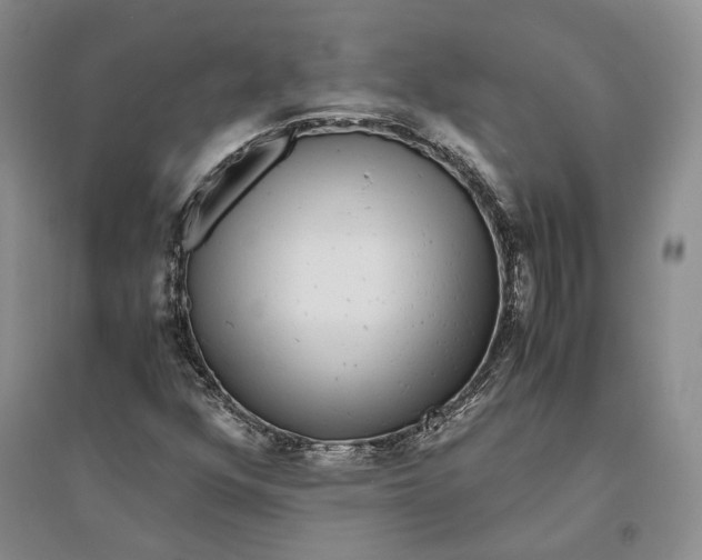 X0000094081352200711091205