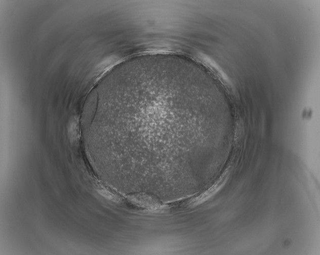 X0000094081353200711091205