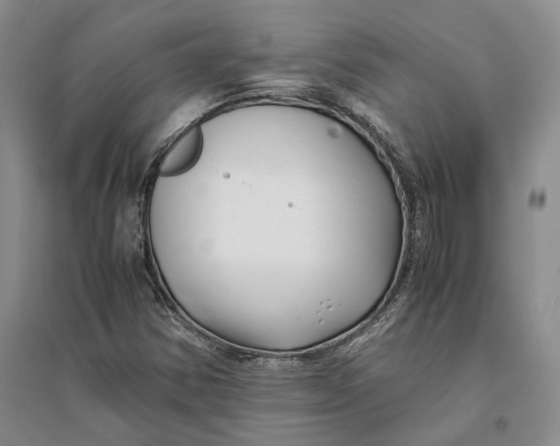 X0000094081354200711091205
