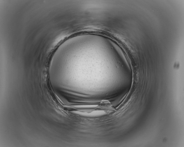 X0000094081355200711091205