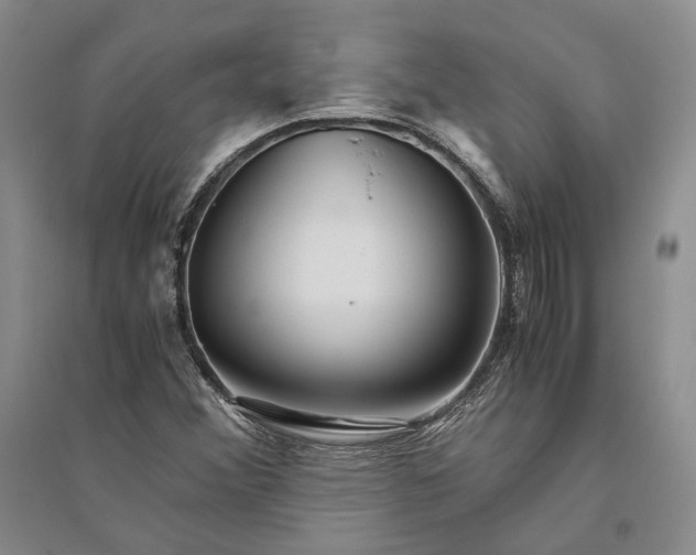 X0000094081356200711091205