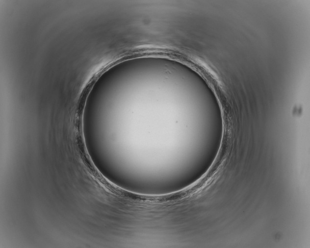 X0000094081357200711091205
