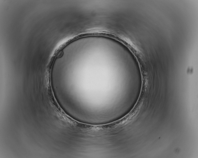 X0000094081358200711091205