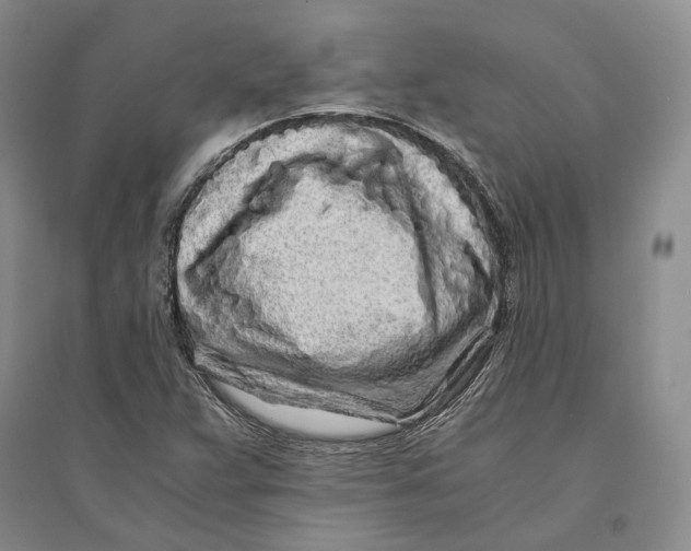 X0000094081359200711091205