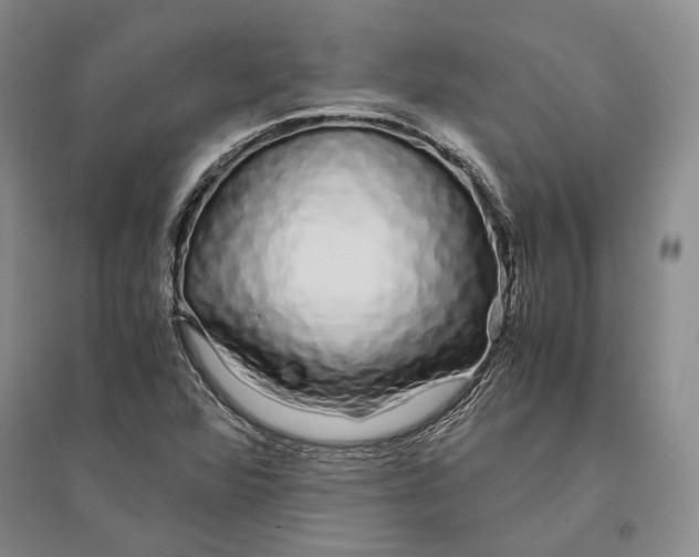 X0000094081360200711091205