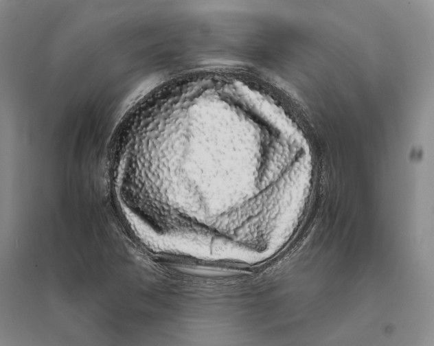 X0000094081362200711091205