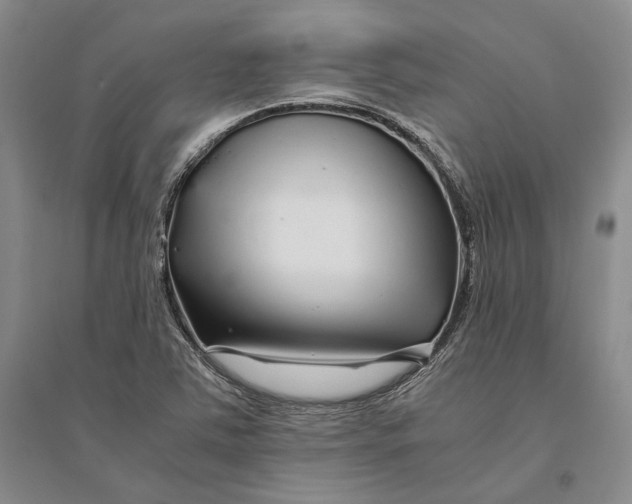 X0000094081363200711091205