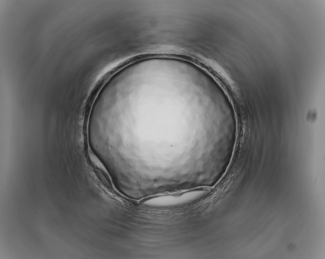 X0000094081364200711091205