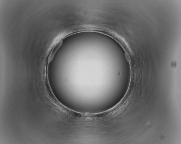 X0000094081365200711091205