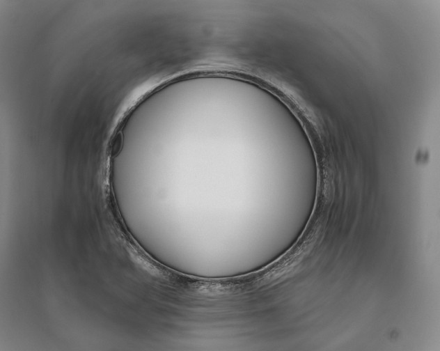 X0000094081366200711091205