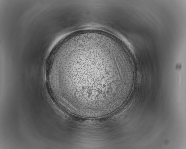 X0000094081368200711091205