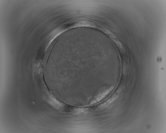 X0000094081369200711091205