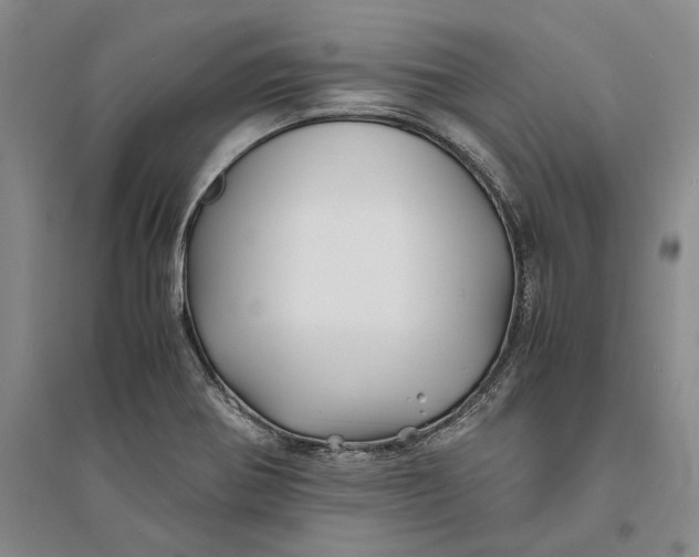 X0000094081370200711091205
