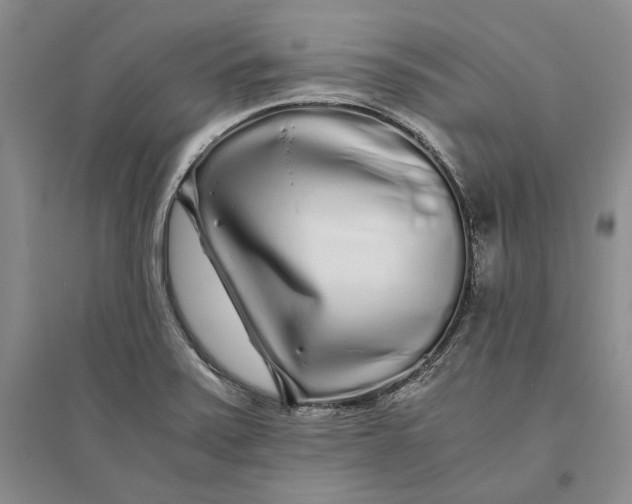 X0000094081371200711091205