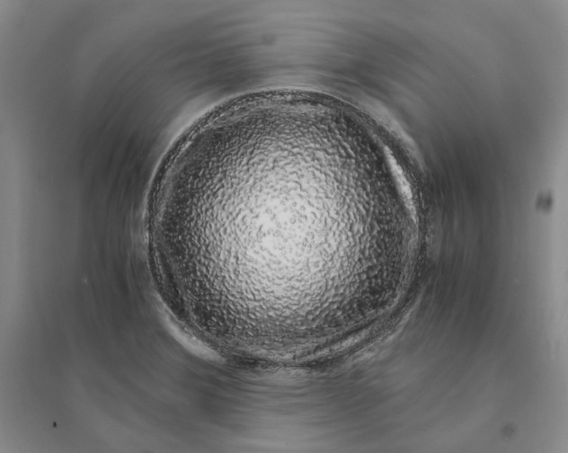 X0000094081372200711091205