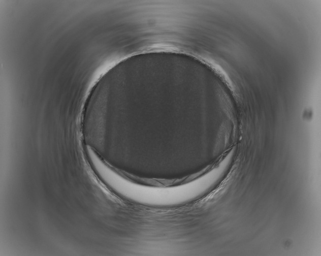 X0000094081373200711091205