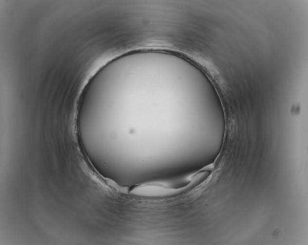 X0000094081374200711091205