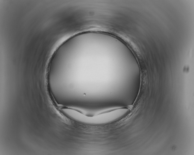 X0000094081375200711091205