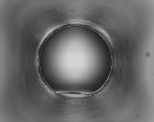 X0000094081376200711091205