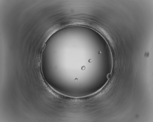 X0000094081377200711091205