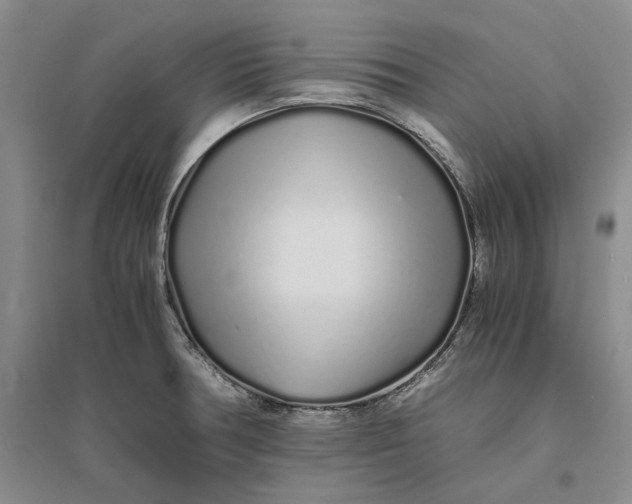 X0000094081378200711091205