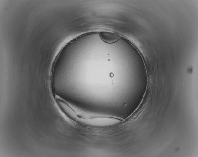 X0000094081379200711091205