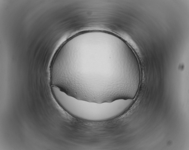 X0000094081380200711091205