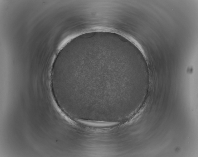 X0000094081381200711091205
