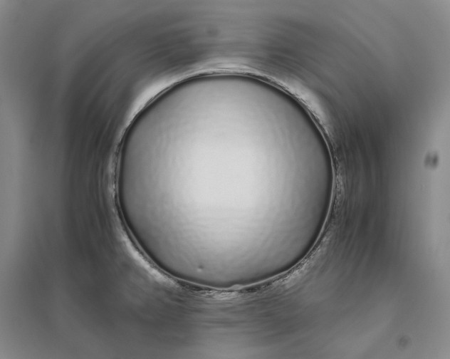 X0000094081382200711091205