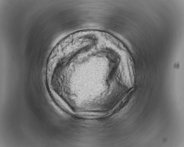 X0000094081383200711091205