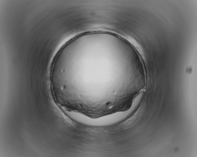 X0000094081384200711091205